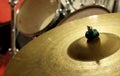 drum set Royalty Free Stock Photo