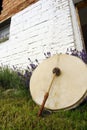 Drum in shamanism on a meadow