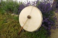 Drum in shamanism on a meadow