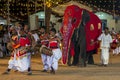 Drummers perform ahead of a parade elephant during the Kataragama Festival in Sri Lanka.