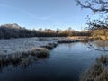 Drumpellier park Coatbridge Scotland winter nature beauty