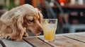 drunk dog drinking a cocktail. dog cheering a toast with cocktail drink, looking up. AI Generative Royalty Free Stock Photo