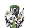 Drunk dog is playing and smoking Royalty Free Stock Photo