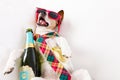 Drunk hangover dog Royalty Free Stock Photo