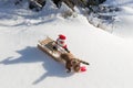 Drunk Santa Claus with empty bottle on the sled