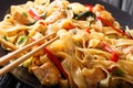 Drunken noodles pad kee mao with chicken, basil, chili pepper and sauce close-up on a plate. horizontal Royalty Free Stock Photo