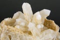 Druze quartz crystals Royalty Free Stock Photo