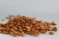 Dry Almonds. Abundant pile of pealed dry almonds Royalty Free Stock Photo