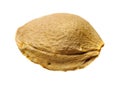 Dry apricot nut Royalty Free Stock Photo