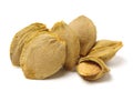 Dry apricot nut Royalty Free Stock Photo