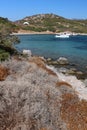 Dry arid scrub of Bitez peninsula near Bodrum - the typical Eastern Mediterranean ecosystem. Royalty Free Stock Photo