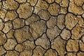 Dry arid soil Royalty Free Stock Photo