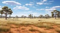 dry australian bushland arid Royalty Free Stock Photo