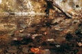 Dry autumn fallen leaves in a puddle in forest