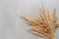 Dry autumn grass on grey background,top view