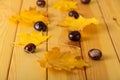 Dry autumn leaves and chestnuts Royalty Free Stock Photo