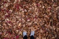 Dry autumn leaves cover forest ground, feet in blue sneakers Royalty Free Stock Photo