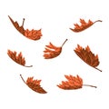 Dry Autumn Leaves Falling Vector Illustration. Flying Folded Leaves Of Fall Season. Set Of 7 Orange Brown Color Texture Leaf