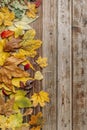 Dry autumn leaves on old wooden vintage background. Natural wood. Wood boards. The view from the top. Space for text Royalty Free Stock Photo