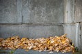 Dry autumn leaves on a wall background with large old brick blocks. Autumn concept Royalty Free Stock Photo