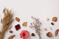 Dry autumn plants with space for text Royalty Free Stock Photo