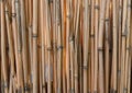 Dry Bamboo sticks as background Royalty Free Stock Photo