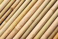 Dry bamboo sticks as background Royalty Free Stock Photo