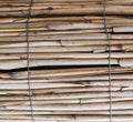 Dry bamboo sticks, fence. background, texture. Royalty Free Stock Photo