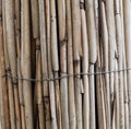 Dry bamboo sticks, fence. Royalty Free Stock Photo