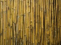 Dry bamboo wall and fence Royalty Free Stock Photo