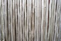 Dry bamboo wall fence texture background Royalty Free Stock Photo