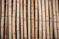 Dry Bamboo Wall tied with rope Texture Background,Bamboo fence background,Bamboo stick pattern Royalty Free Stock Photo