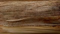 Dry banana stem skin texture, the outer skin has peeled off Royalty Free Stock Photo