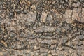 Dry Barren Scorched Soil Cracked Fragmented Rough Desolate Grunge Surface Royalty Free Stock Photo