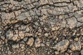 Dry Barren Scorched Soil Cracked Fragmented Rough Desolate Grunge Surface Royalty Free Stock Photo