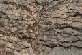 Dry Barren Scorched Soil Cracked Fragmented Rough Desolate Grunge Surface Royalty Free Stock Photo