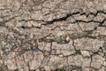 Dry Barren Scorched Soil Cracked Rough Desolate Grunge Surface Royalty Free Stock Photo