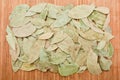 Dry bay leaf on a bamboo mat, can be used as texture. Royalty Free Stock Photo