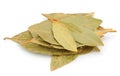 Dry bay leaf Royalty Free Stock Photo