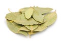 Dry bay leaf Royalty Free Stock Photo