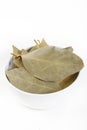 Dry bay leaf Royalty Free Stock Photo