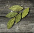 Dry bay leaf Royalty Free Stock Photo