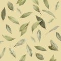 Dry bay leaves falling on pale goldenrod background
