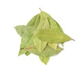 Dry Bay Leaves, Laurel Leaf, Natural Spicy Bayleaf, Fragrant Ingredient, Aromatic Spice