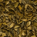 Dry Bay Leaves Pattern, Laurel Leaf Texture, Natural Spicy Bayleaf Background, Fragrant Ingredient Royalty Free Stock Photo