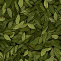 Dry Bay Leaves Pattern, Laurel Leaf Texture, Natural Spicy Bayleaf Background, Fragrant Ingredient Royalty Free Stock Photo