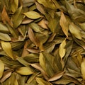 Dry Bay Leaves Pattern, Laurel Leaf Texture, Natural Spicy Bayleaf Background, Fragrant Ingredient Royalty Free Stock Photo