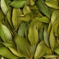 Dry Bay Leaves Pattern, Laurel Leaf Texture, Natural Spicy Bayleaf Background, Fragrant Ingredient