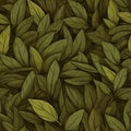 Dry Bay Leaves Pattern, Laurel Leaf Texture, Natural Spicy Bayleaf Background, Fragrant Ingredient