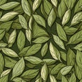 Dry Bay Leaves Pattern, Laurel Leaf Texture, Natural Spicy Bayleaf Background, Fragrant Ingredient